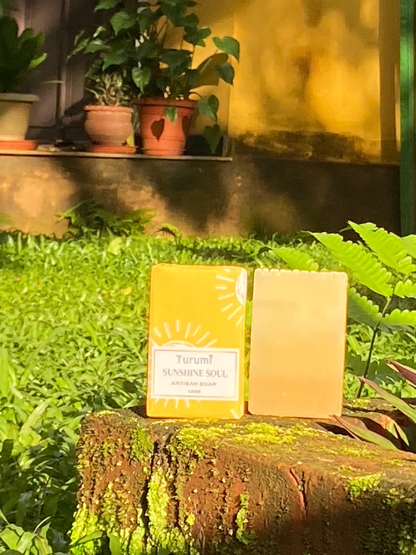 Sunshine Soul