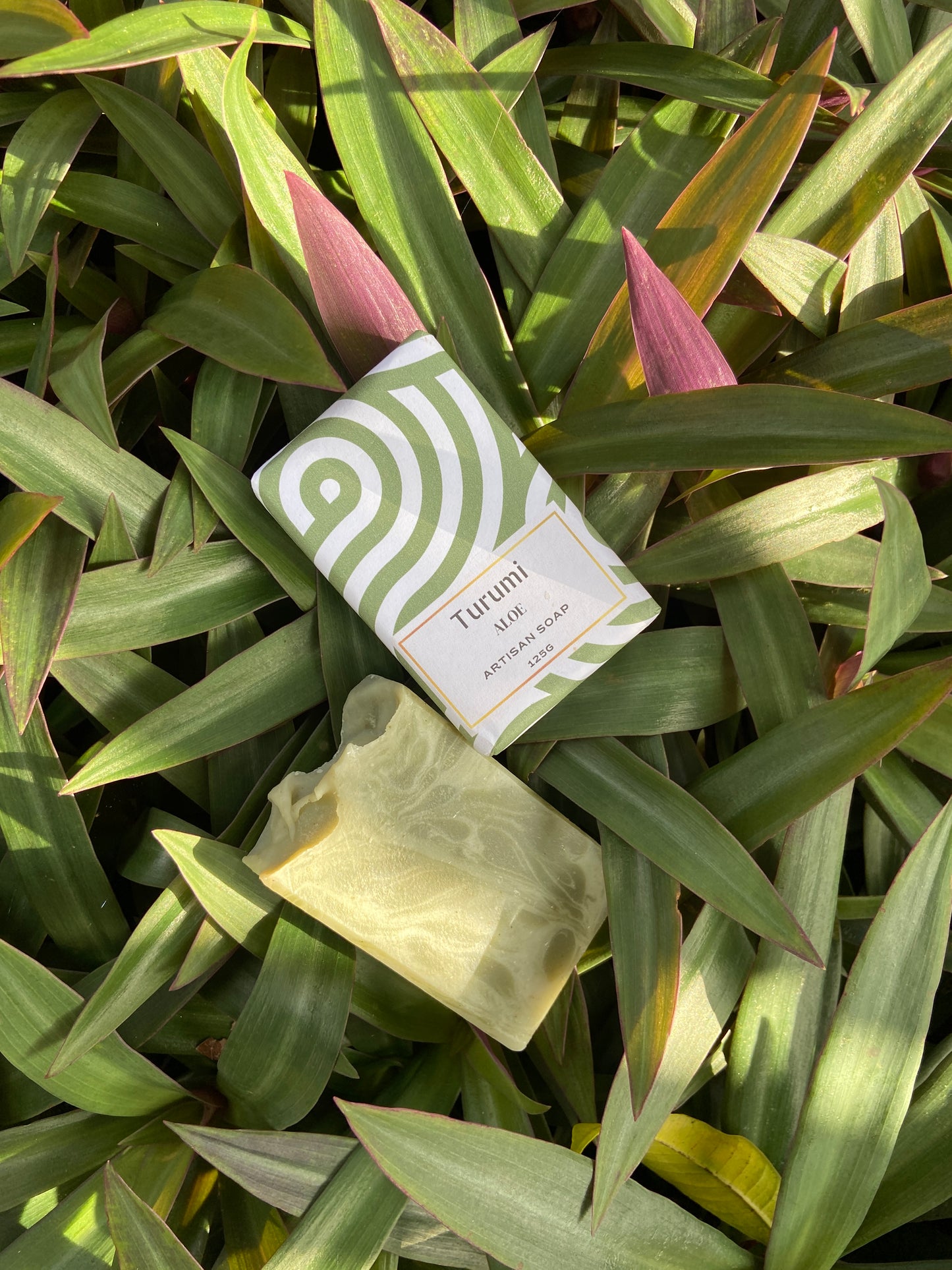 Aloe