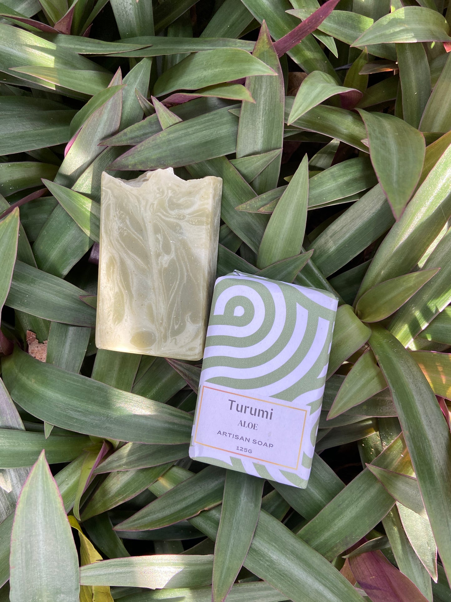 Aloe