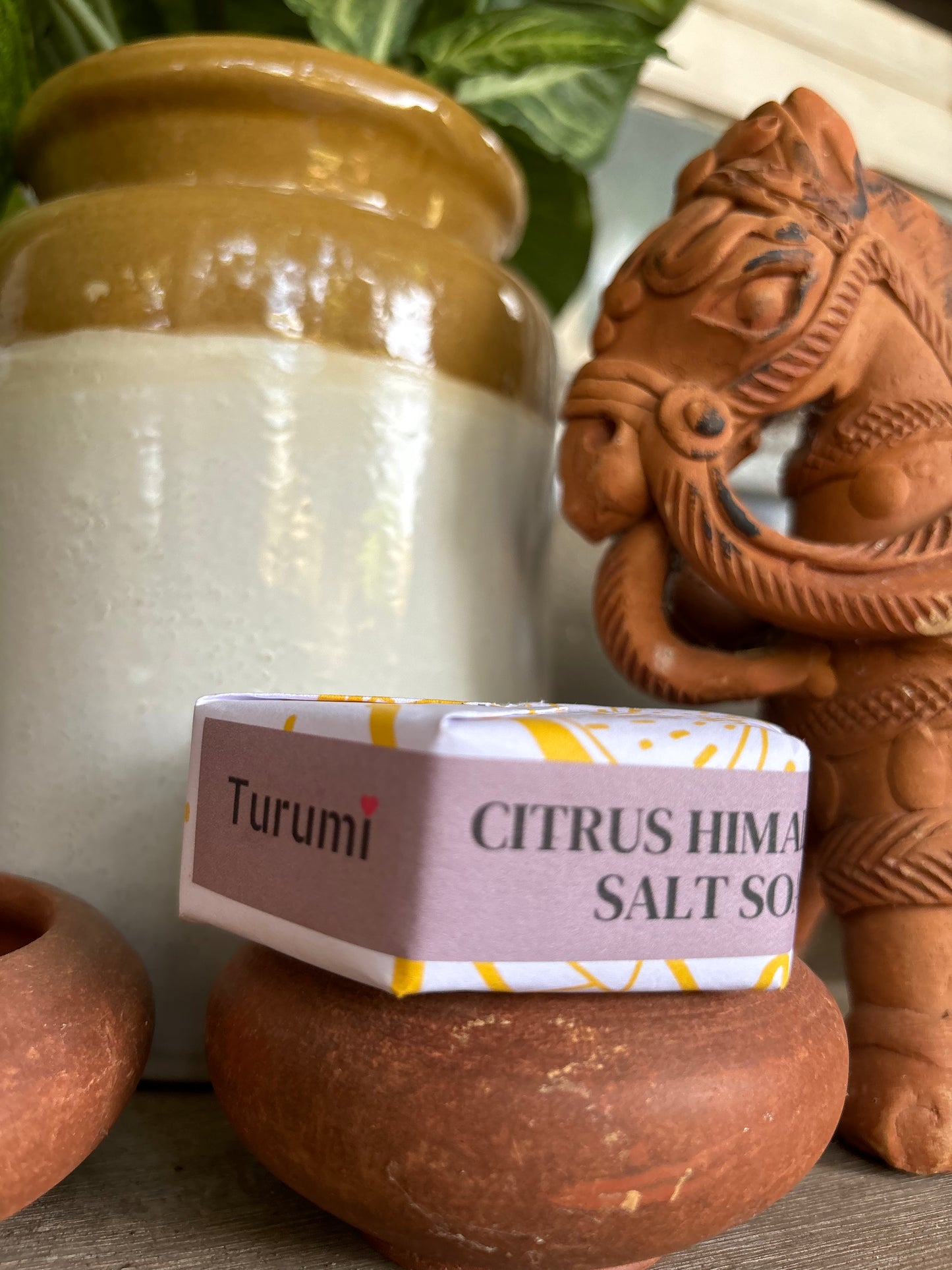 Citrus Himalayan Salt